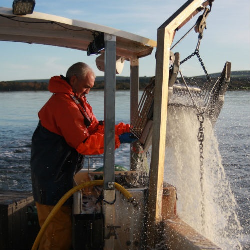 The MSC Fisheries Standard
