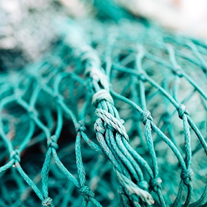 Unsustainable fishing cards