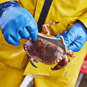 The Fisheries Standard version 3.1