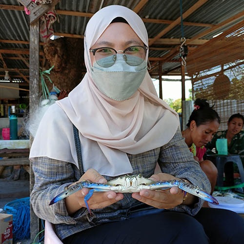 Innowacyjne metody DNA oceny wieku krabów błękitnych z Indonezji