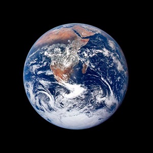 Explainer: Marine biodiversity and COP-15