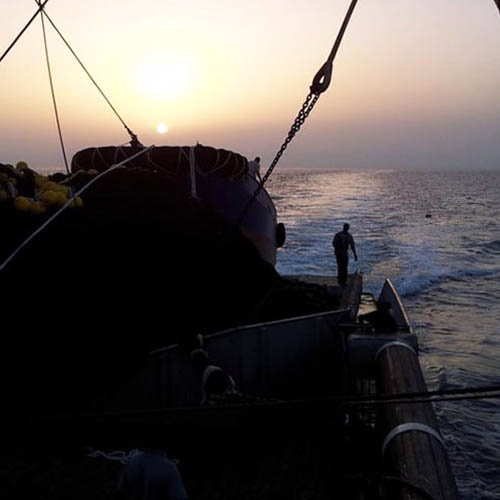 Seafood industry takes on pandemic