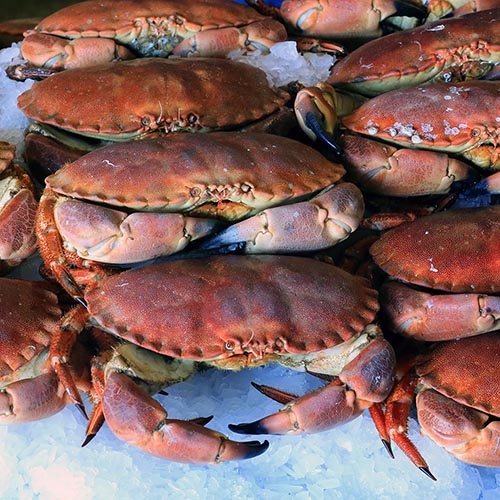 A foodie’s guide to crab