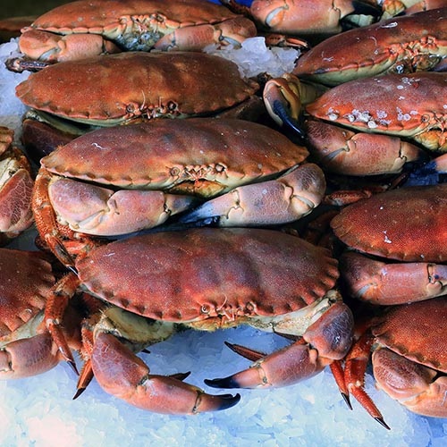 Sustainable Crab  Marine Stewardship Council