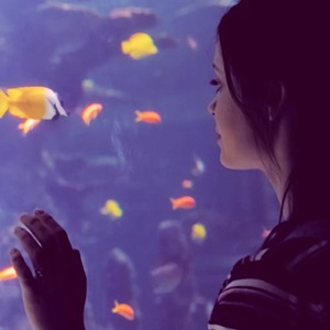 Interactive story