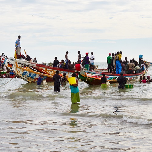 Pêcheries artisanales et des pays en développement 