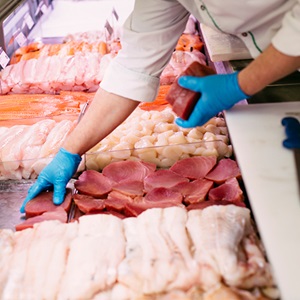 What Is Hoki | Sustainable fish | Marine Stewardship Council