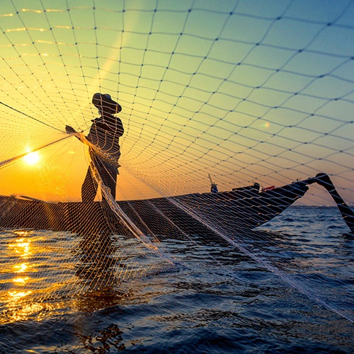 Comunicación y pesca sostenible