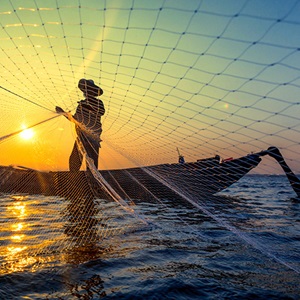 Ocean Stewardship Fund