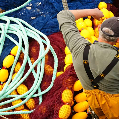 Sustainable Fishing Msc Marine Stewardship Council