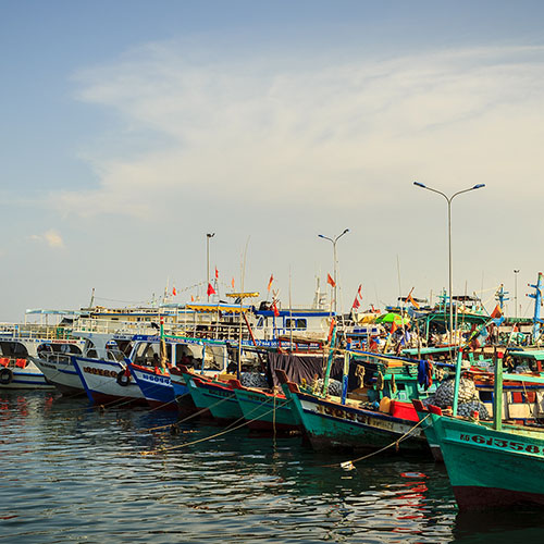Fishing boats docked in harbour