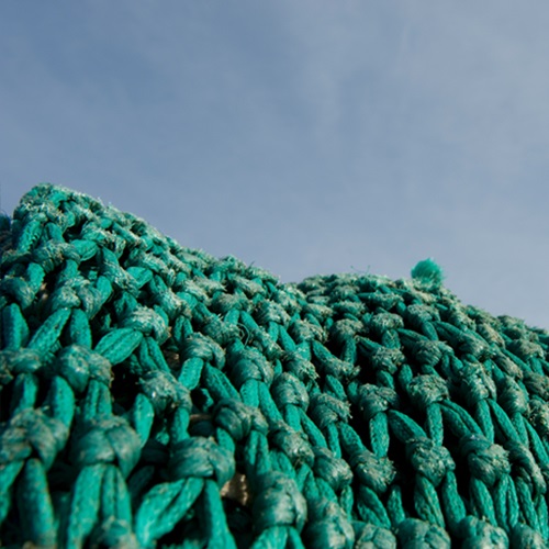 The MSC Fisheries Standard