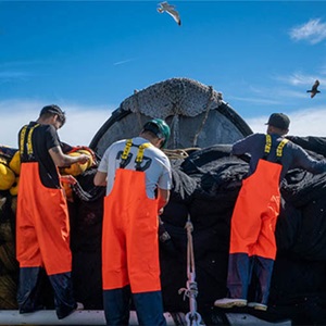 Hvorfor få dit fiskeri MSC-certificeret?