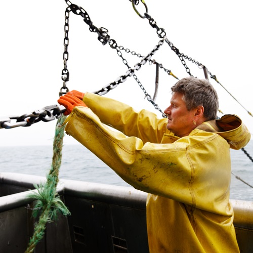 Lo standard per le aziende di pesca