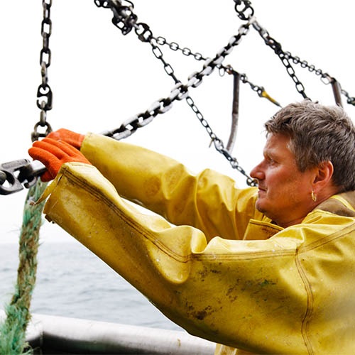 Handledning för certifiering av fiske