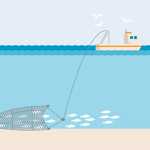 fishing supply companies