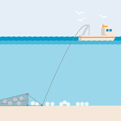 Dredge fishing gear illustration