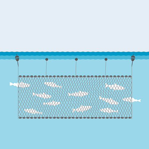 Gillnet fishing gear illustration