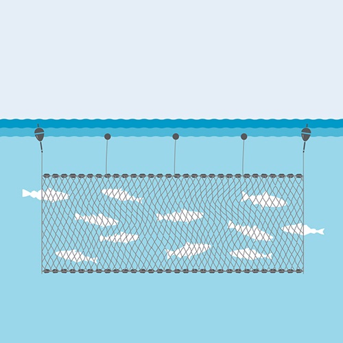 Purse Seine Nets - Nitto Seimo Co., Ltd. as the top manufacturer of  knotless net