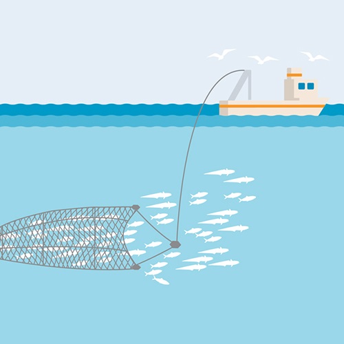 fishing net ( Purse seine net , fish farm net, trawl net)