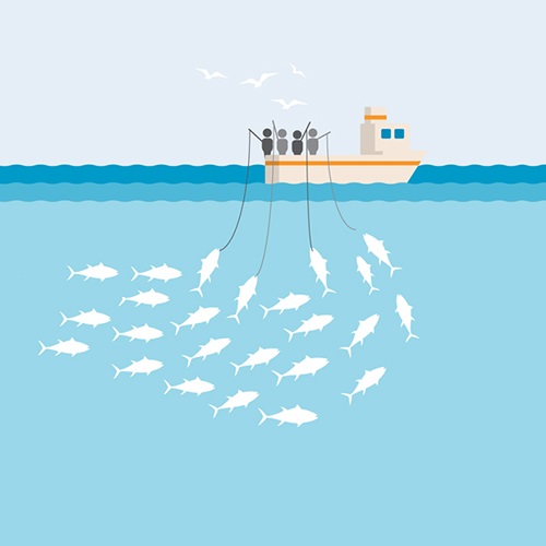 漁法について
