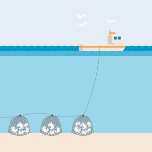 Pots and traps fishing