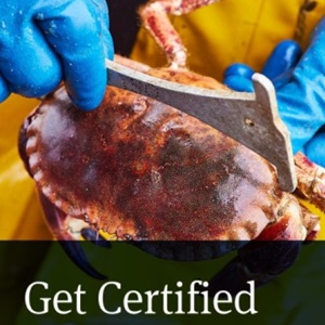 Download our guide
