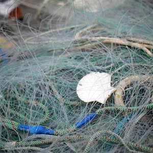 Managing the impacts of abandoned, lost or discarded fishing gear 