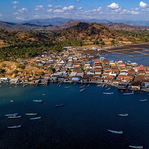 Odbudowa stad lucjana i różowika w Indonezji