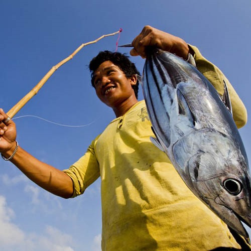 Third Indonesia tuna fishery achieves MSC certified sustainable status