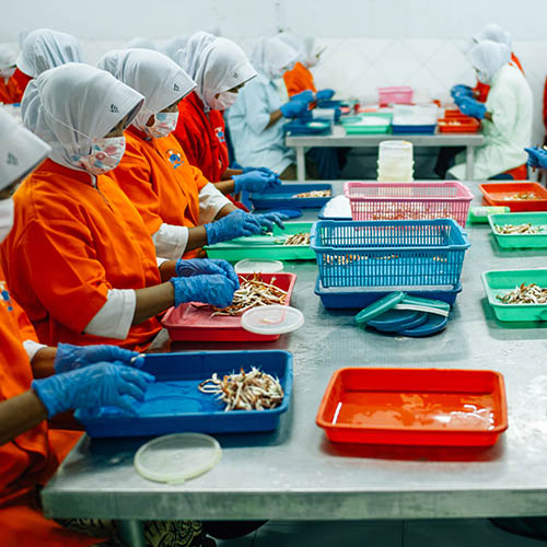 Women in protective clothing sitting at tables processing crab