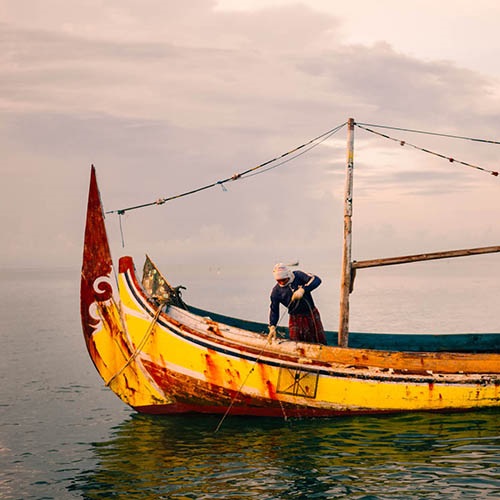 Ochrona indonezyjskich łowisk kraba kwiatowego