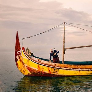 Pêcheries artisanales et des pays en développement