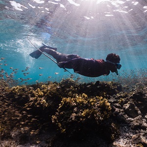 Global Fisheries Sustainability Fund