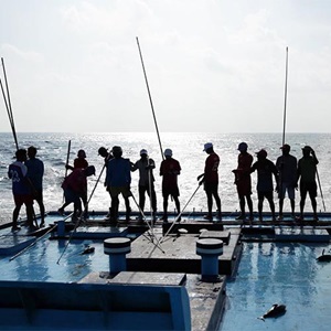 Maldives skipjack tuna success story 2023