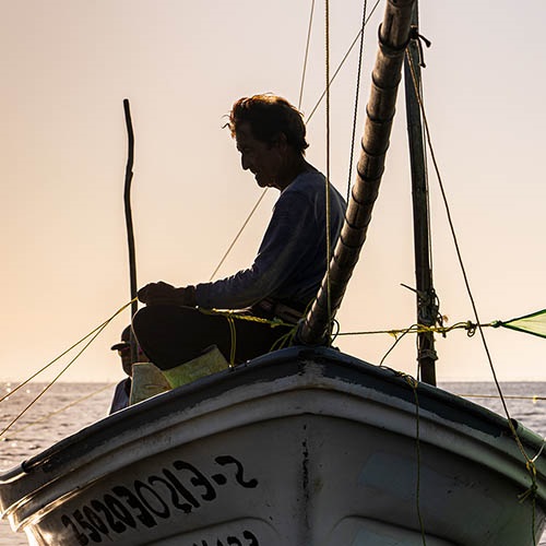 Badanie kondycji stad w meksykańskim rybołówstwie krewetek