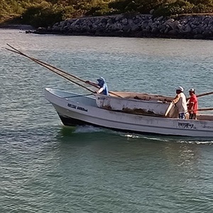 Working with mixed fisheries