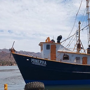 Raporty i publikacje