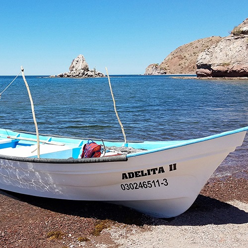 Working with mixed fisheries