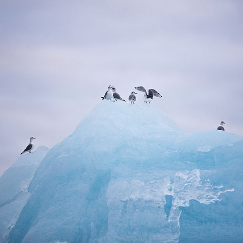 Monitoring and Evaluation 500 x 500