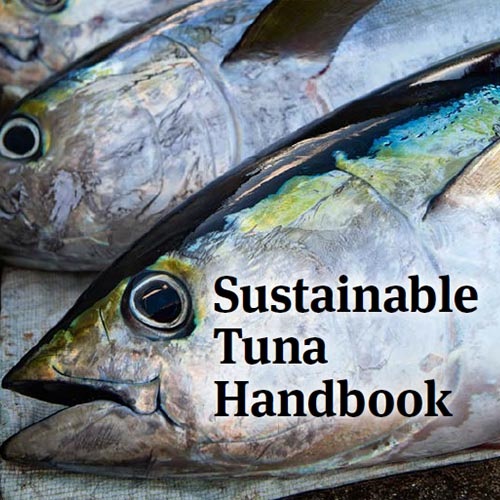Tuna FAQ Marine Stewardship Council