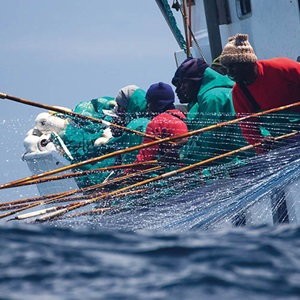 The MSC Improvement Program