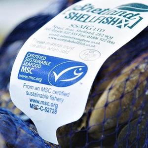 Use the blue MSC label