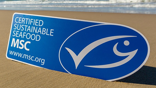 Why choose the MSC blue label?