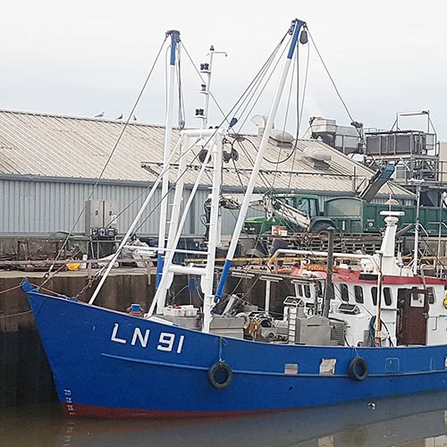 Badanie zagrożeń dla chronionych gatunków w rybołówstwie krewetek brunatnych na Morzu Północnym