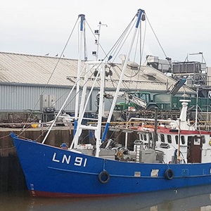 Mapping risks to endangered species in the North Sea Wash Brown Shrimp Fishery