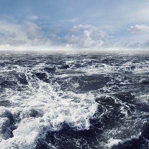 危機に直面している海