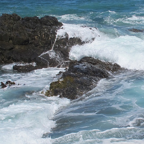 Oceanos em perigo