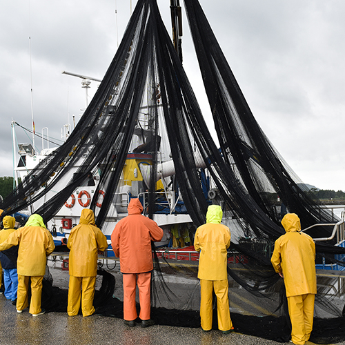 Full shot of fishermen repairing hanging nets with their backs to the camera