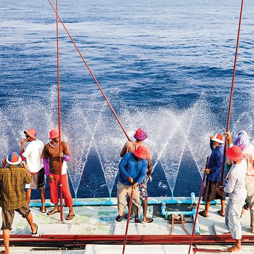 Des pêcheries durables